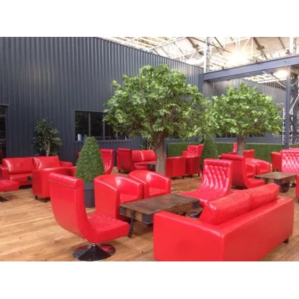 PLATANE géant artificiel dans un complexe sportif