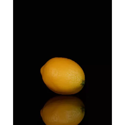 CITRON artificielle 8.5 cm