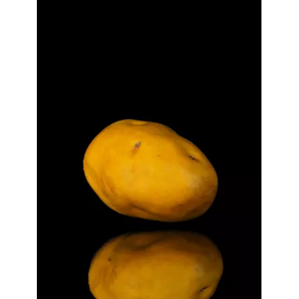 POMME DE TERRE artificielle 9 x 6.5 cm avec reflets