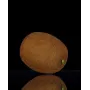 KIWI artificiel 7,5 cm avec reflets