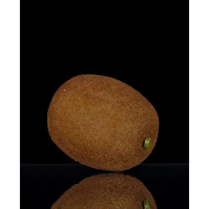 KIWI artificiel 7,5 cm avec reflets