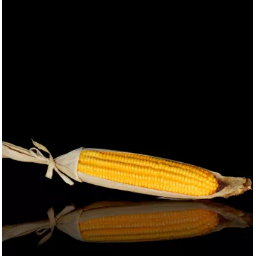 Maïs artificiel 42 cm avec reflets