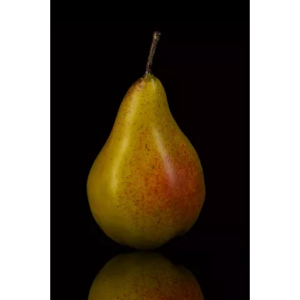 POIRE artificielle 12,5 cm avec reflets