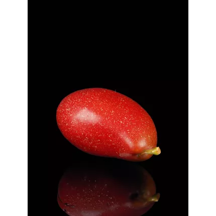 MANGUE artificielle 13 cm avec reflet