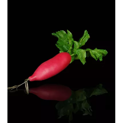 RADIS artificiel 21 cm