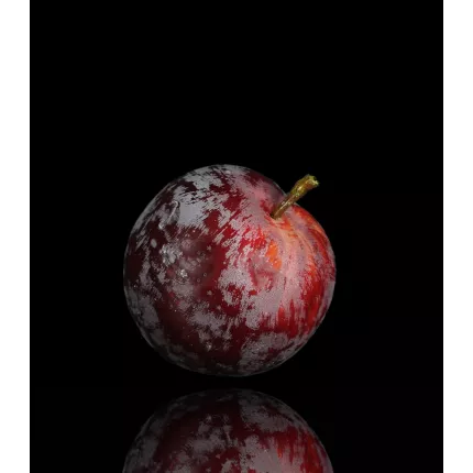 PRUNE artificielle 7,5 cm avec reflets