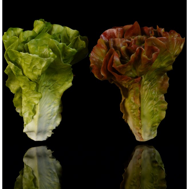 Salade LAITUE artificielle verte ou brune 16 cm