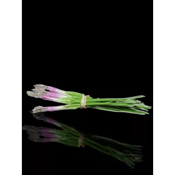 botte de 4 OIGNONS frais artificielle 30 cm de face