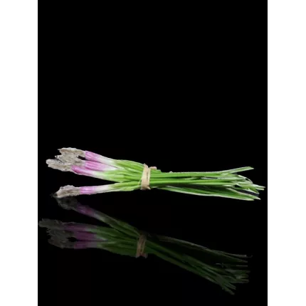 botte de 4 OIGNONS frais artificielle 30 cm de face