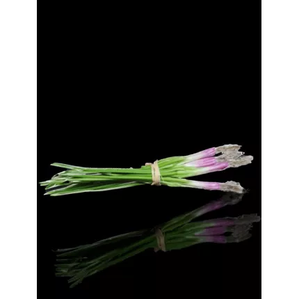 botte de 4 OIGNONS frais artificielle 30 cm de dos