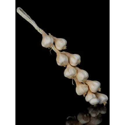 tresse d'ail artificielle 50 cm de profil