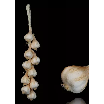 tresse d'ail artificielle 50 cm avec gousse