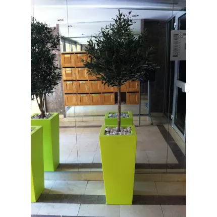 OLIVIER artificiel tête 90 à 180 cm dans un hall d'entrée