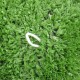 MOUTON en pelouse artificielle 50 cm