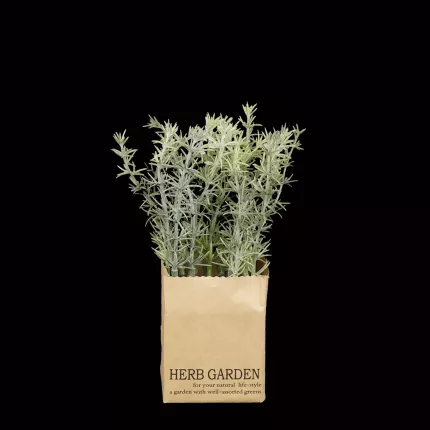 HERBES artificielles AROMATIQUES en sac papier 16 à 24 cm vendu par 3