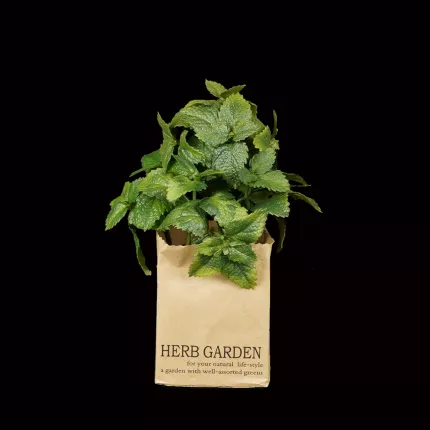 HERBES artificielles AROMATIQUES en sac papier 16 à 24 cm vendu par 3