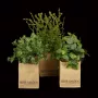 HERBES artificielles AROMATIQUES en sac papier modèle A