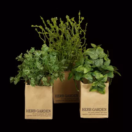 HERBES artificielles AROMATIQUES en sac papier modèle A