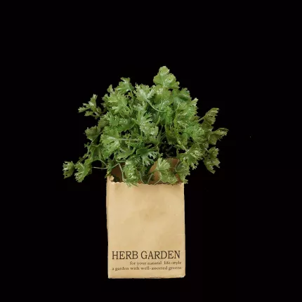 HERBES artificielles AROMATIQUES en sac papier 16 à 24 cm vendu par 3