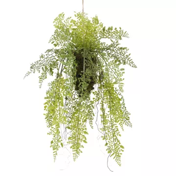 suspension fougère 55 cm