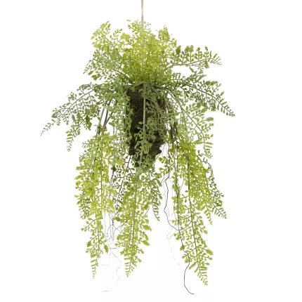 suspension fougère 55 cm