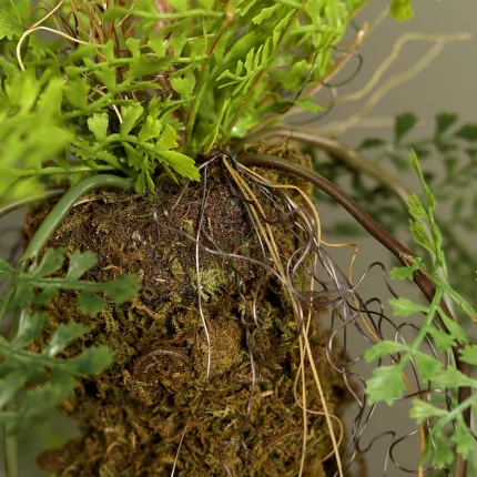 suspension fougère 55 cm feuilles