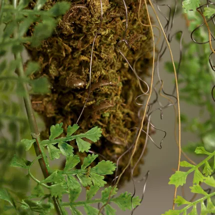 socle suspension fougère 55 cm