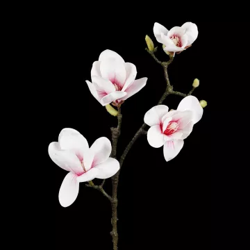 branche MAGNOLIA artificiel 82 cm blanc