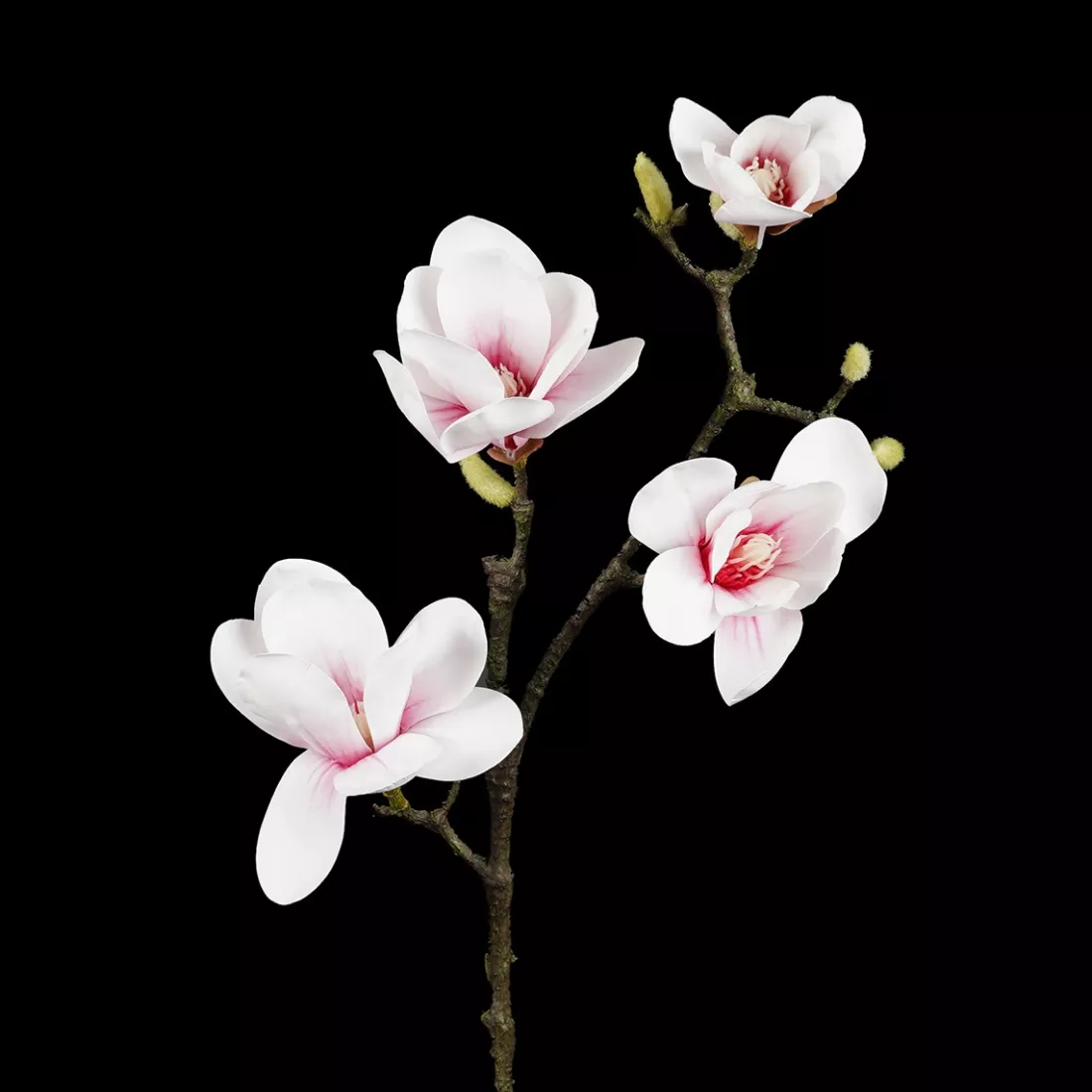 branche MAGNOLIA artificiel 82 cm blanc