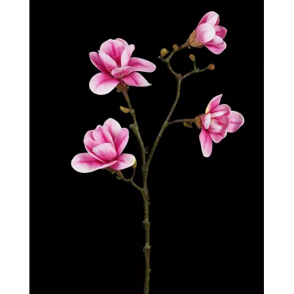 branche MAGNOLIA artificiel 82 cm