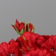 bouquet de PAVOTS artificiels 28 cm