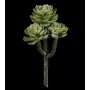 SUCCULENTE artificielle Echeverias  20 cm