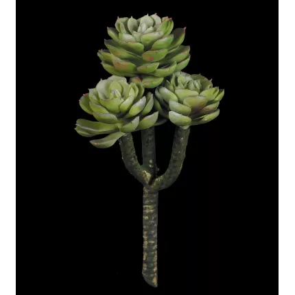 SUCCULENTE artificielle Echeverias  20 cm