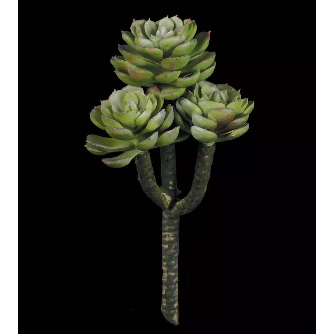 SUCCULENTE artificielle Echeverias  20 cm