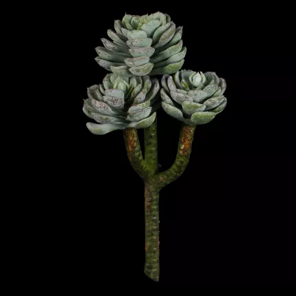 SUCCULENTE artificielle Sedums 20 cm