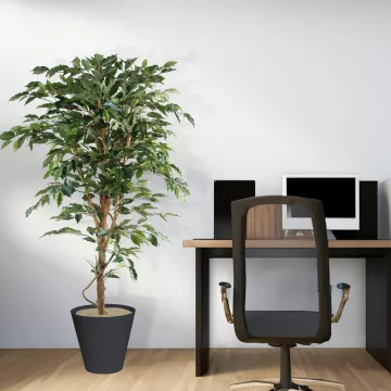 mis en situation FICUS artificiel TRONC SIMPLE Grandes Feuilles  vert