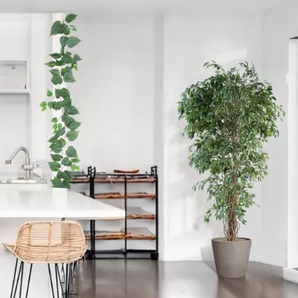 mis en situation FICUS artificiel LIANES Petites Feuilles vertes 150 à 210 cm