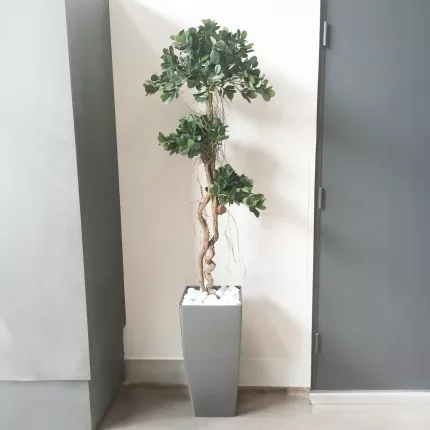 mis en situation feuilles et tronc FICUS artificiel PANDA 170 cm