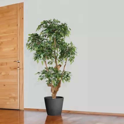 mis en situation FICUS artificiel NATASJA 5 têtes 170 cm dans une entrée