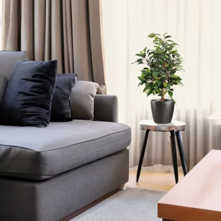 mis  en situation FICUS artificiel NATASJA 60 cm