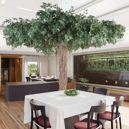 mise en situation FICUS artificiel LIANES umbrella dans un restaurant