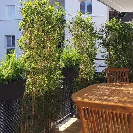 mis en situation HAIE artificielle BAMBOU japenese plast 150 et 180 cm largeur 110 cm