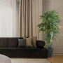 mis en situation BAMBOU artificiel BLACK New 145 à 210 cm
