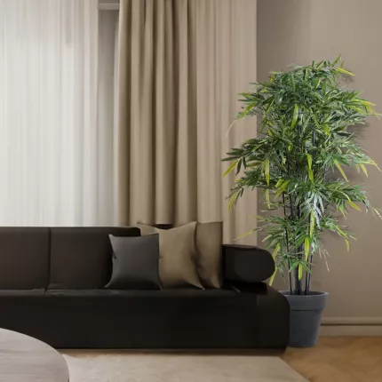 mis en situation BAMBOU artificiel BLACK New 145 à 210 cm