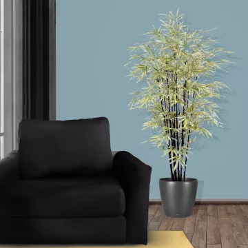mis en situation BAMBOU artificiel BLACK SHIROSHIMA LARGE 125 et 160 cm