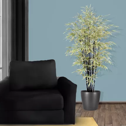 mis en situation BAMBOU artificiel BLACK SHIROSHIMA LARGE 125 et 160 cm