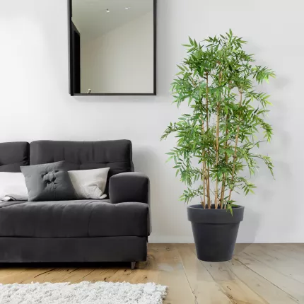 mis en situation BAMBOU artificiel ORIENTAL