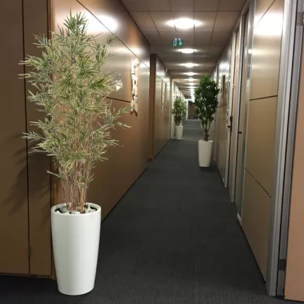 mis en situation BAMBOU artificiel SHIROSHIMA 70 à 220 cm