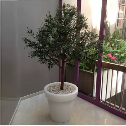 OLIVIER artificiel NEW TETE large (olives noires) 150 à 220 cm dans hall pot rond