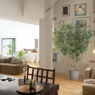 OLIVIER artificiel NEW géant 210 cm dans un appartement